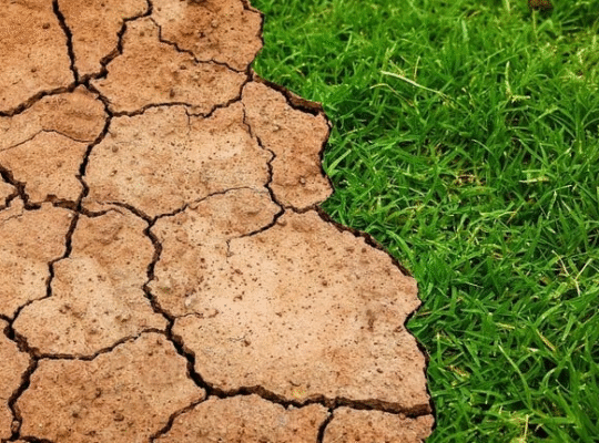 What Europeans believe about climate change: a very serious issue