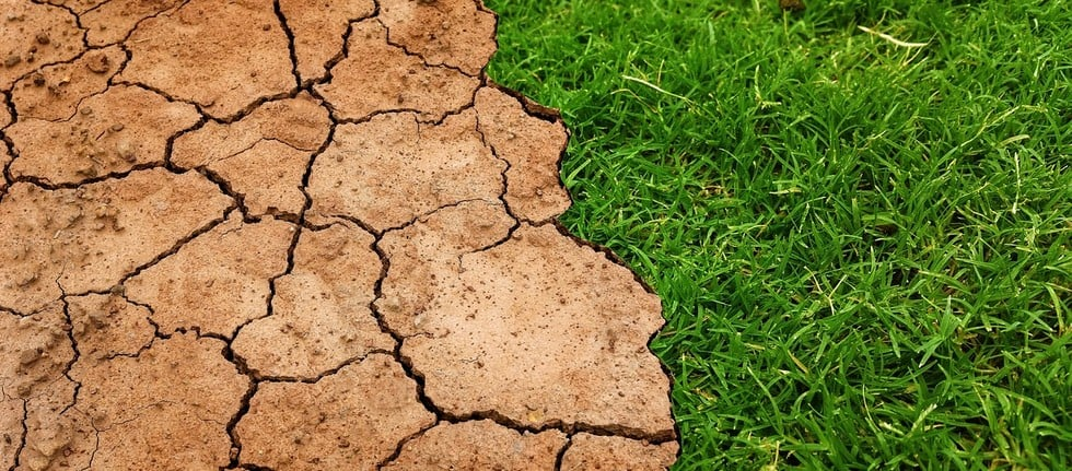 What Europeans believe about climate change: a very serious issue